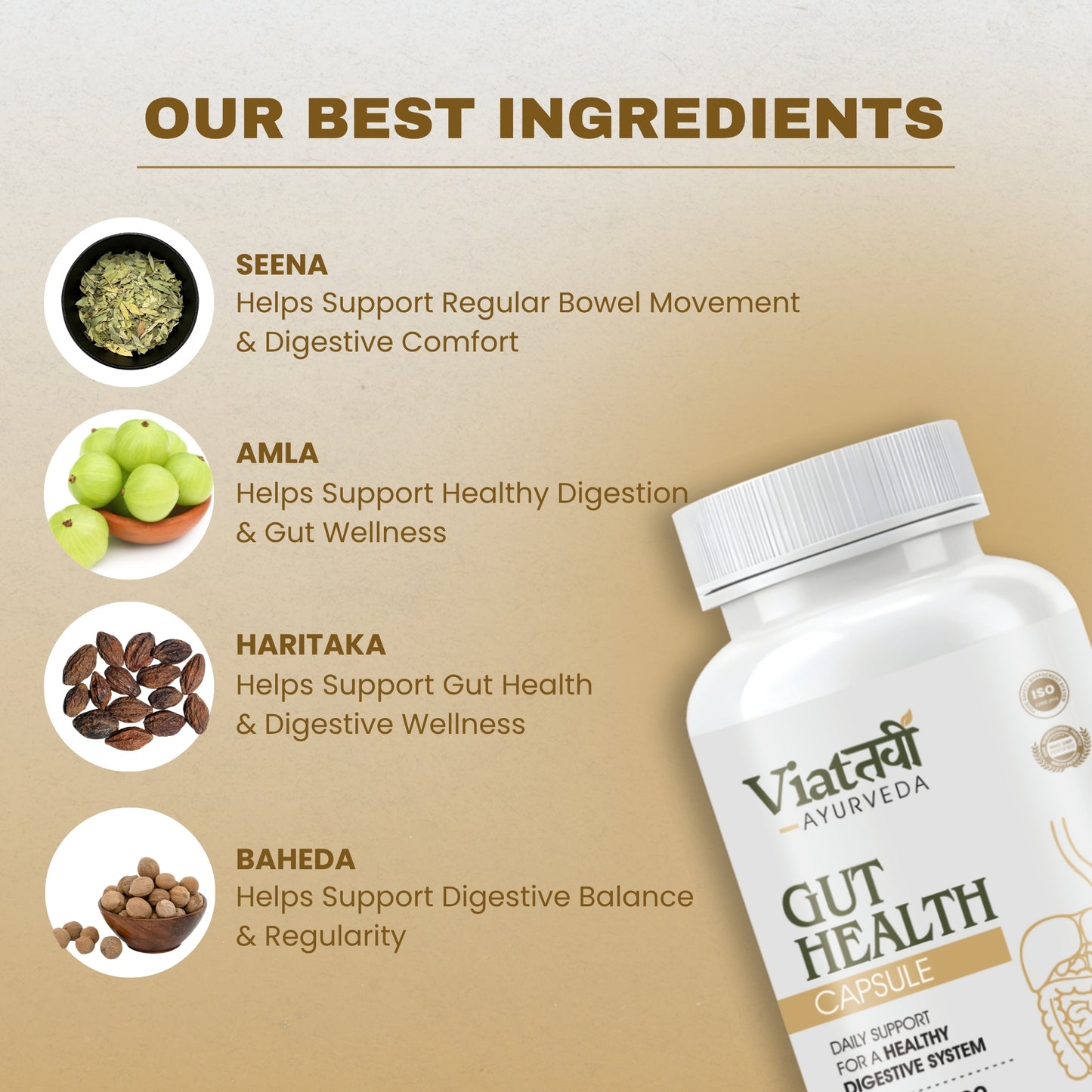 Gut Health Capsules